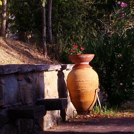Tenuta Macetona Celle sul Rigo Extérieur photo